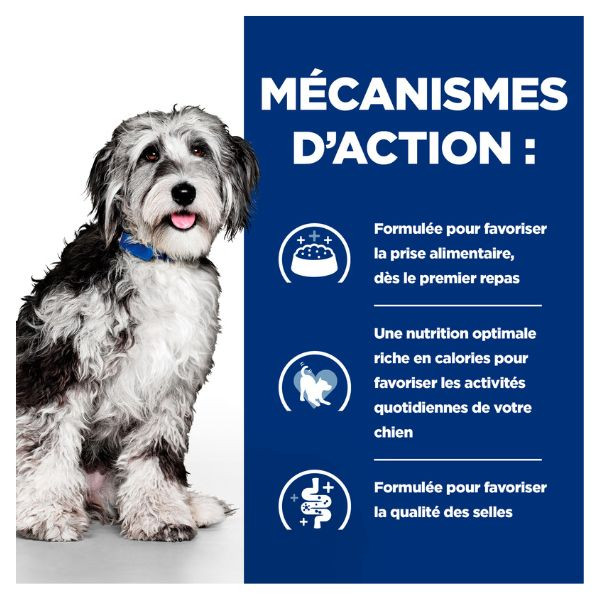 Hill's Prescription Diet On Care Canine