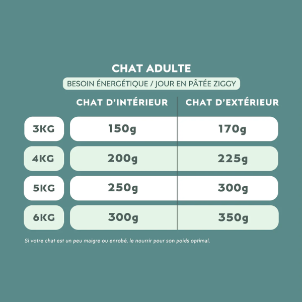 Ziggy Pâtée Urinaire Chat - 4 x 100 g