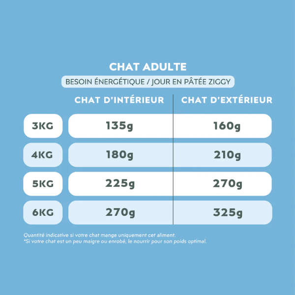 Ziggy Pâtée Chat IRC - 4 x 100 g