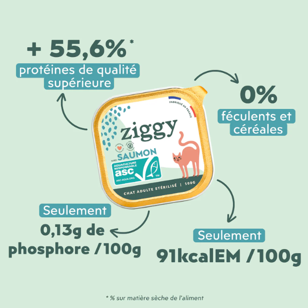 Ziggy Pâtées Chat Stérilisé au Saumon - 4 x 100 g