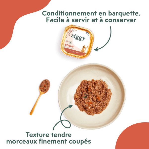 Ziggy Pâtée Chaton Boeuf - 4 x 100 g 