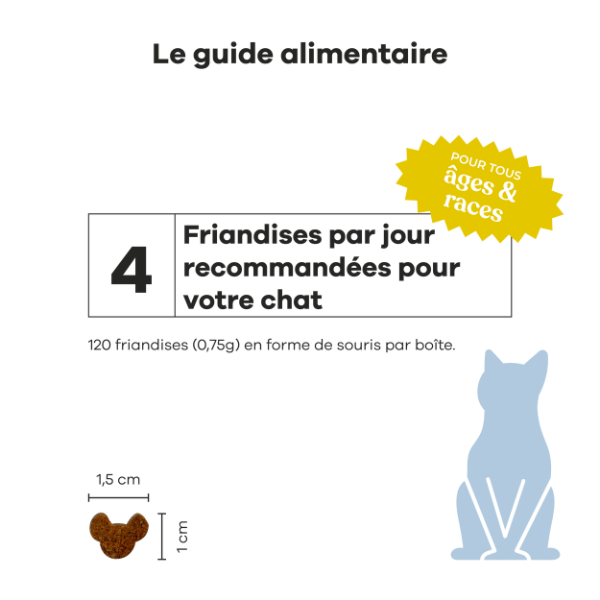 Treatsy Probiotiques pour Chat - 90 g