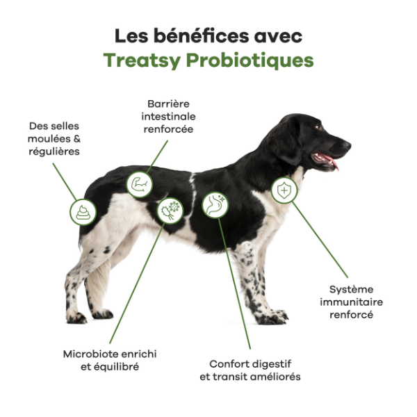 Treatsy Probiotiques pour Chien - 90 g