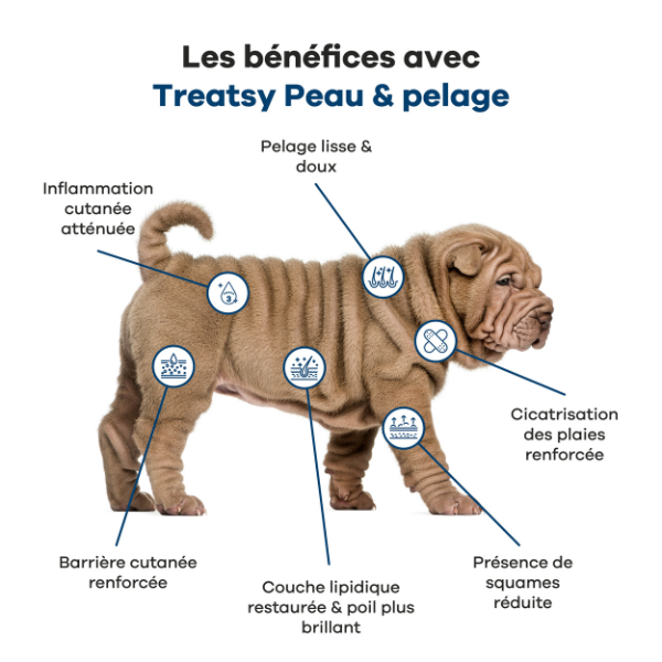 Treatsy Peau & Pelage pour Chien - 180 g