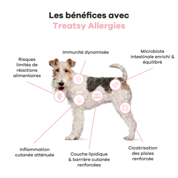 Treatsy Allergie pour Chien - 180 g