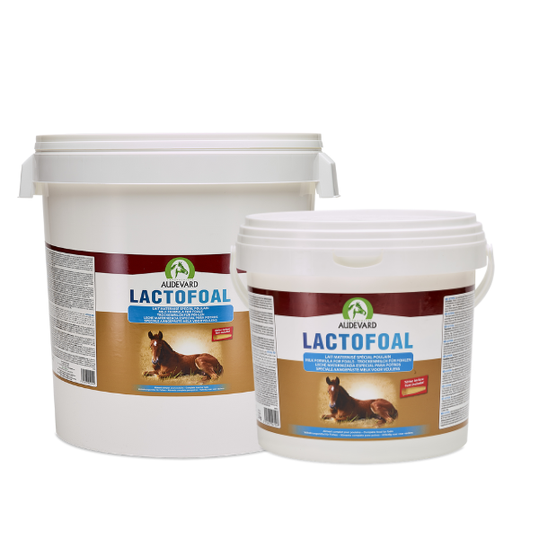 Audevard Lactofoal - 2,2 kg