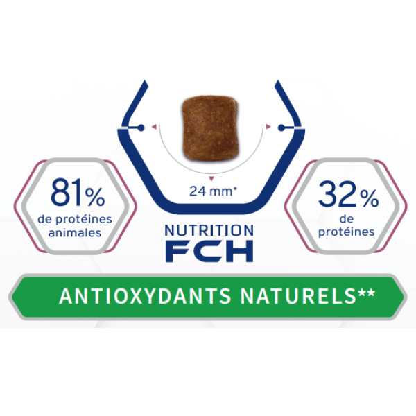 Tonivet Chien Adulte Maxi - 12 kg