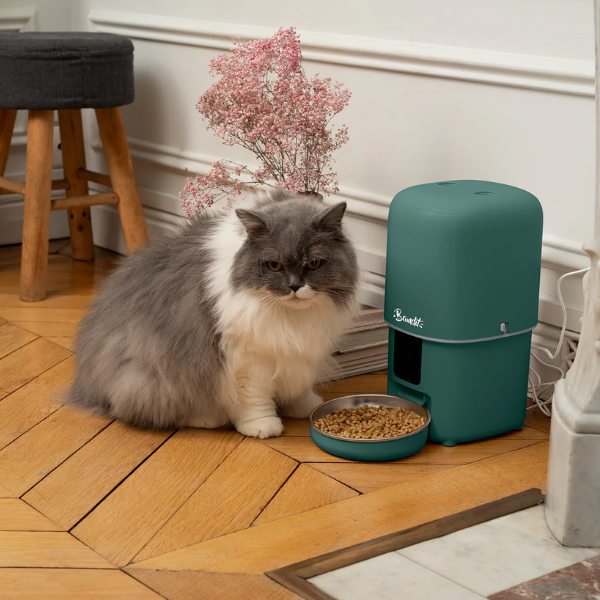 Bandit Distributeur de Croquettes Intelligent 