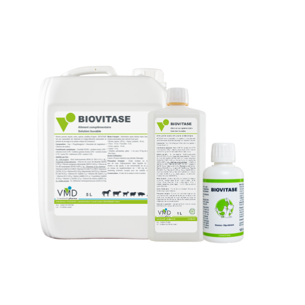 Biovitase Solution Orale