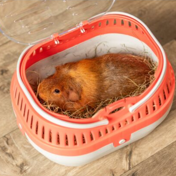 Trixie Box de transport Pico pour Rongeur 