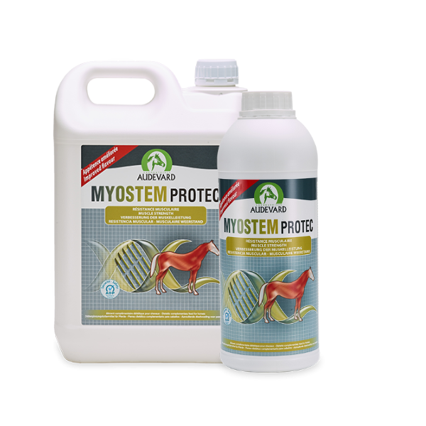 Audevard Myostem Protec