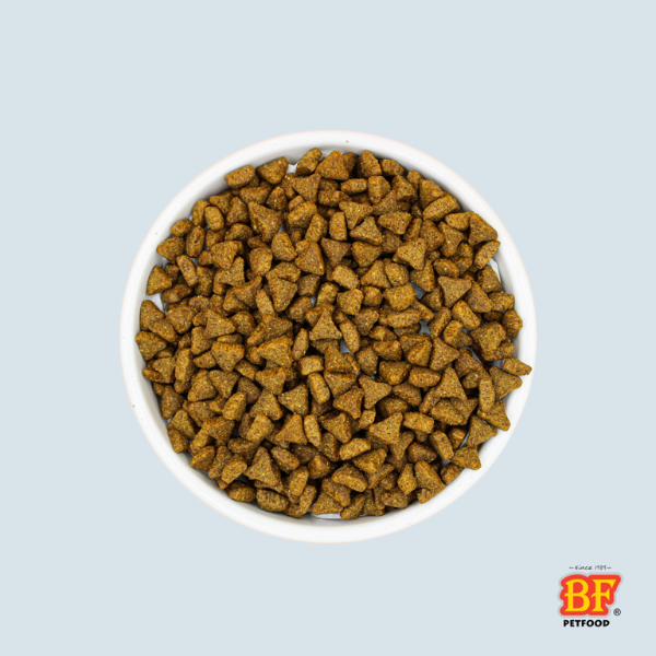 BF Petfood Croquettes Chat Control