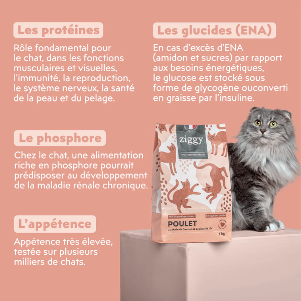Ziggy Croquettes Chat Stérilisé au Poulet 