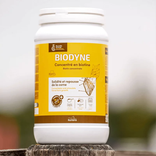 Ravene Biodyne - 1 Kg