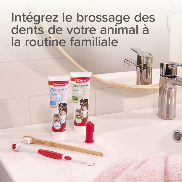 Beaphar Brosse à dents en Bambou