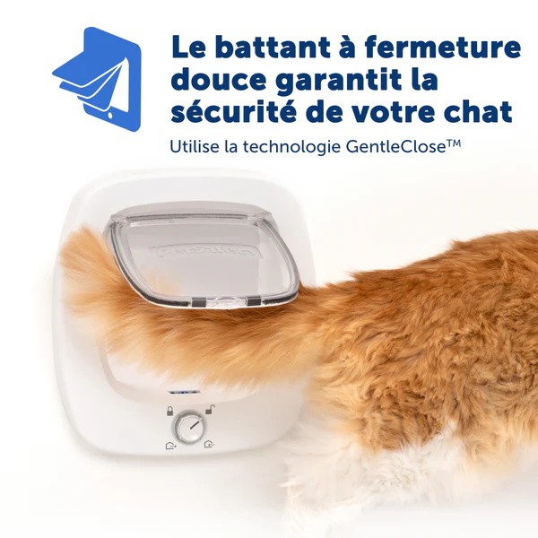 PetSafe - Chatière Grands Chats 4 Positions - Blanc