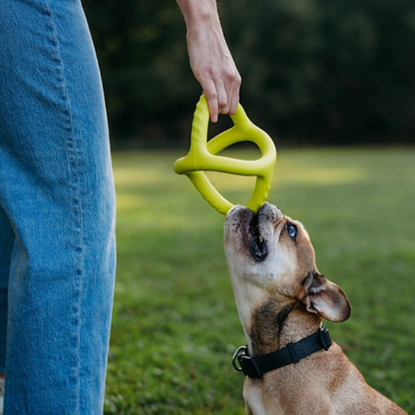 Benebone Bounce Tug