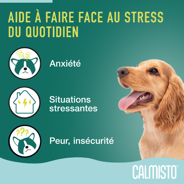 Calmisto chien diffuseur - 6 ml