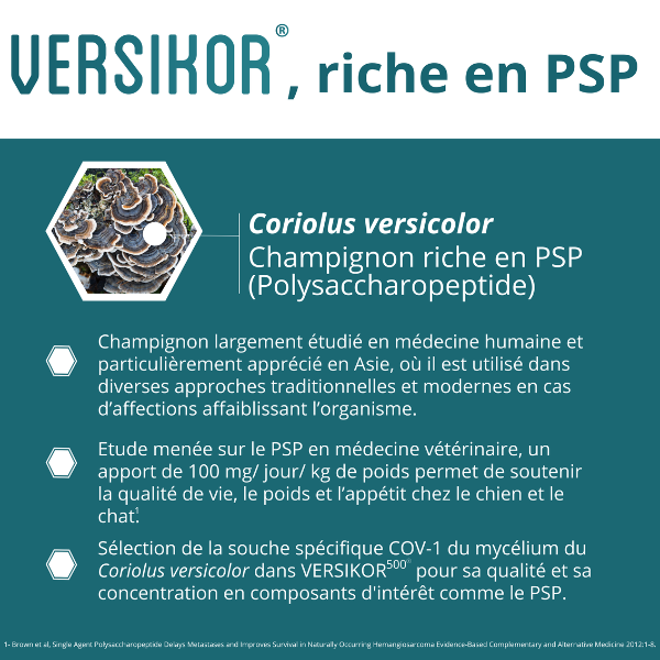 Versikor 500 Chews pour Chat 