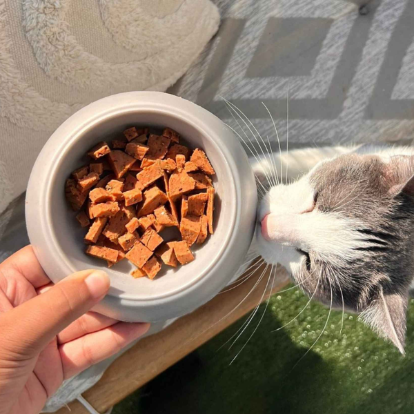 Saucissons pour chat BARF 200 g 