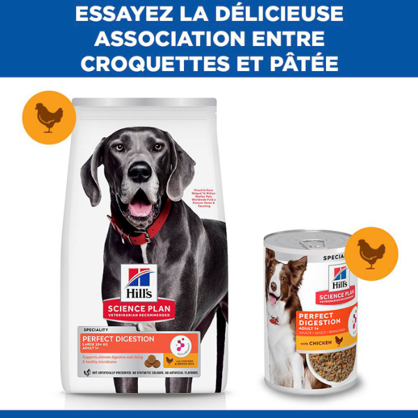 Hill's Science Plan Canine Perfect Digestion Large Breed - 14 kg