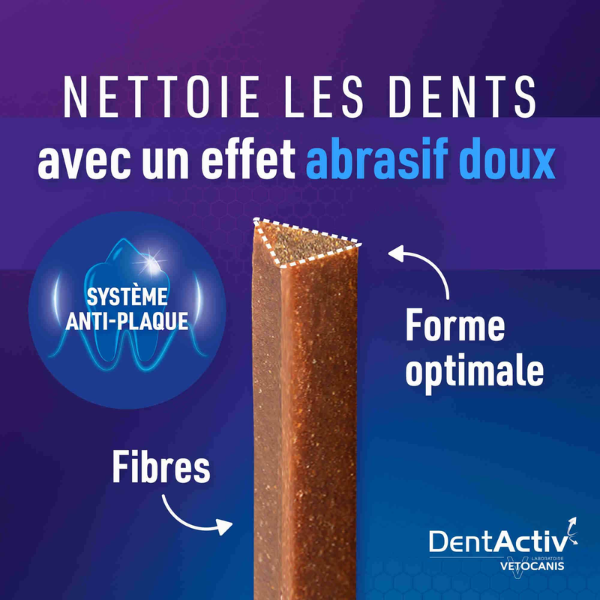DentActiv Pour Grand Chien