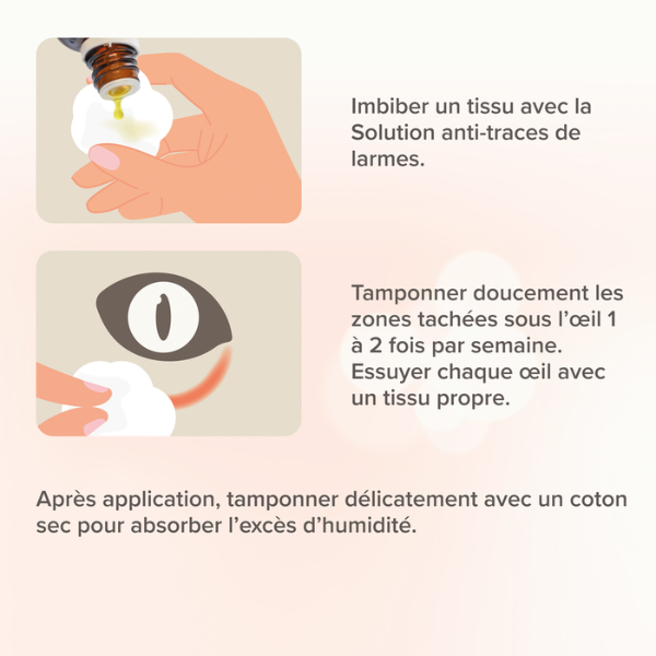 Beaphar Solution Anti-Traces de Larmes - 50 ml