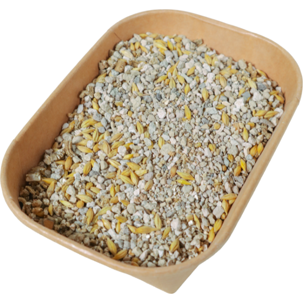 Zolux Kit Herbe à Chat - 190 g