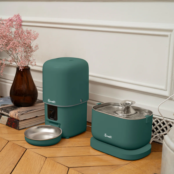 Bandit Fontaine à Eau Filaire 