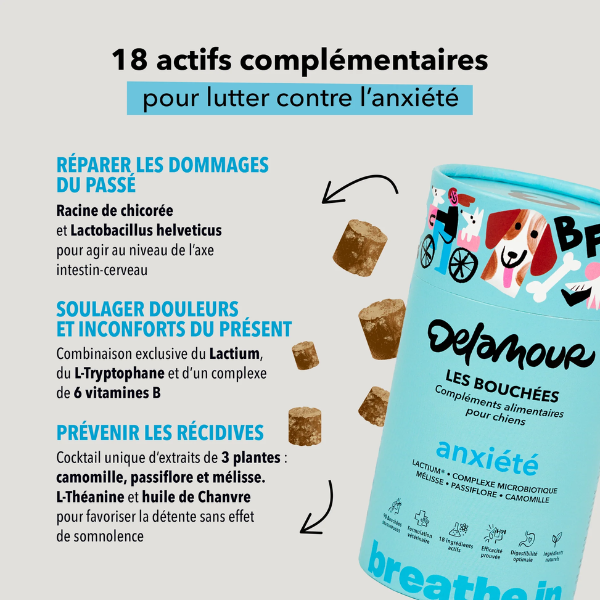 Les Bouchées Delamour Anxiété