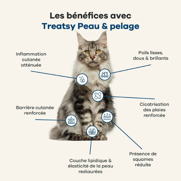 Treatsy Huile Nutritionnelle Peau & Pelage pour Chien & Chat
