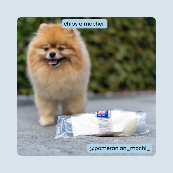 BF Petfood Os Chips pour Chien