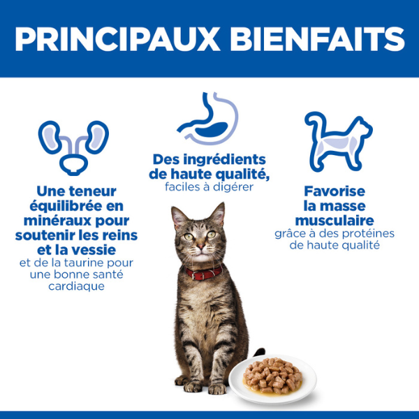 Hill's Science Plan Feline Adult Pack Mixte Poulet Bœuf Poisson - 12 x 85 g