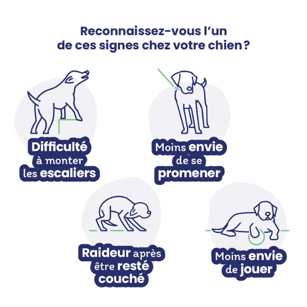 Flexadin Advanced pour Chien