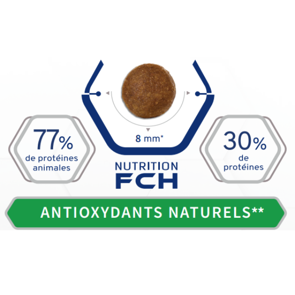 Tonivet Chien Senior Mini