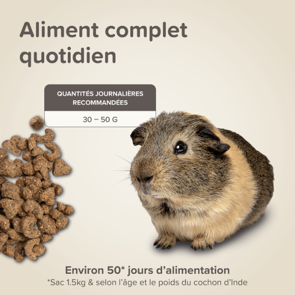 Beaphar Care+ Alimentation pour Cochon d'Inde