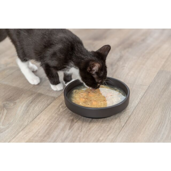 Trixie Soupe à la Crevette pour Chat - 4 x 80 g