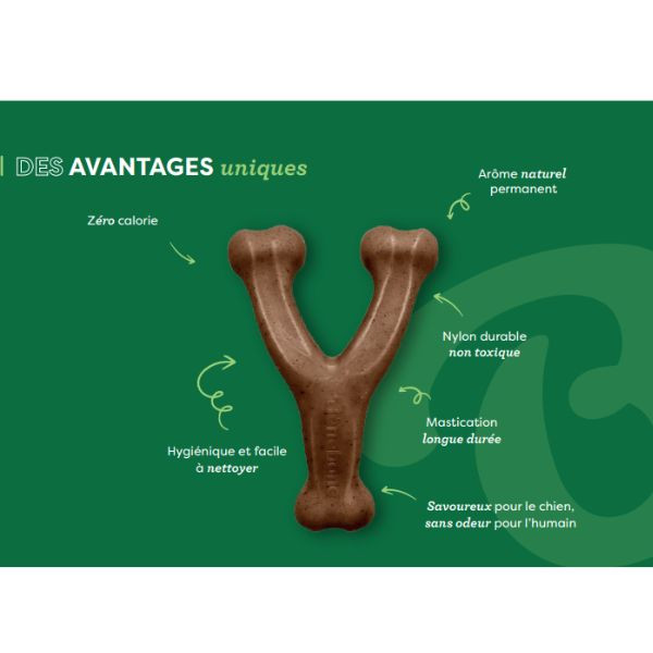 Benedone Wisbone au Poulet