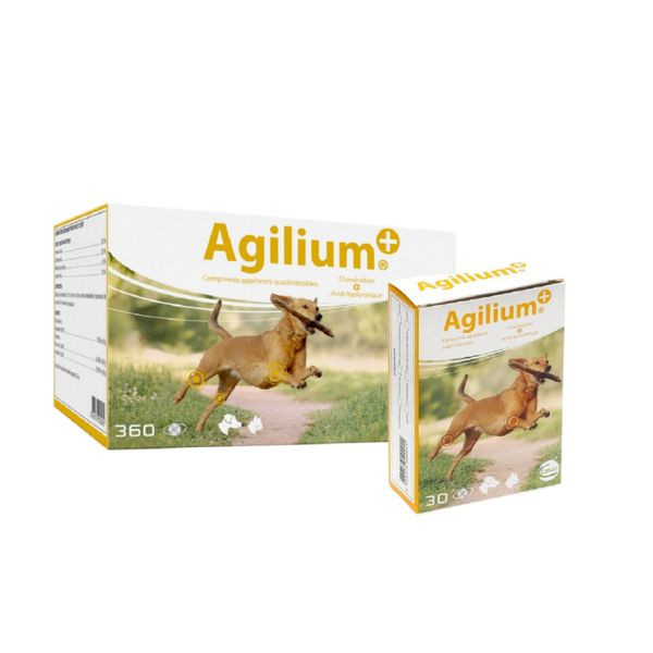 Agilium Plus