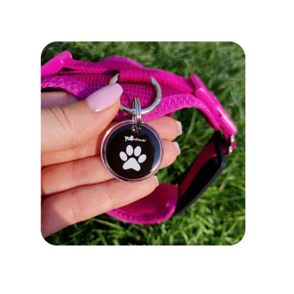 Yuli Médaille D'identification Chien & Chat