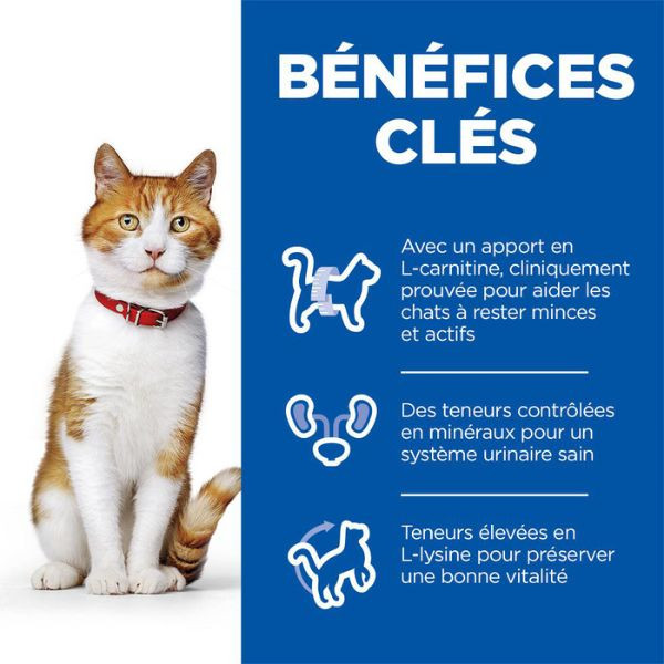 Hill's Science Plan Feline Adult Sterilised Saumon