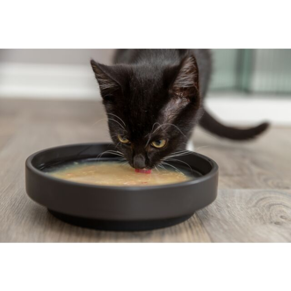 Trixie Soupe au Saumon pour Chat - 4 x 80 