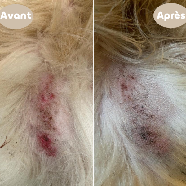 Biovetol Baume Apaisant & Nourrissant Bio - 50 g