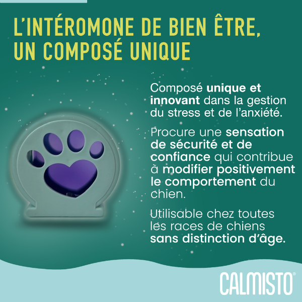 Calmisto chien diffuseur - 6 ml