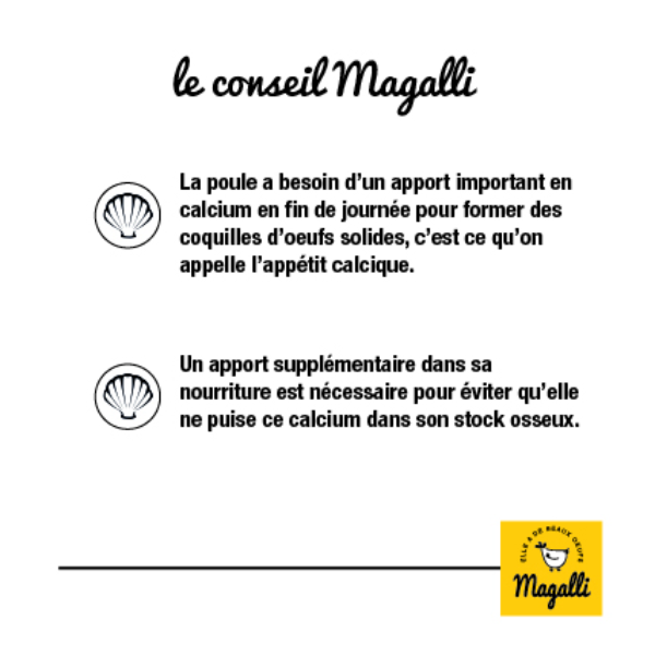 Magalli Coquilles marines enrichies en grit - 5 kg