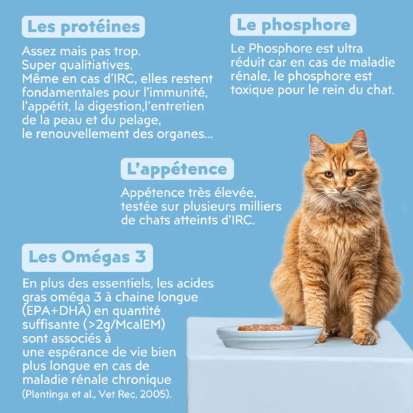 Ziggy Pâtée Chat IRC - 4 x 100 g