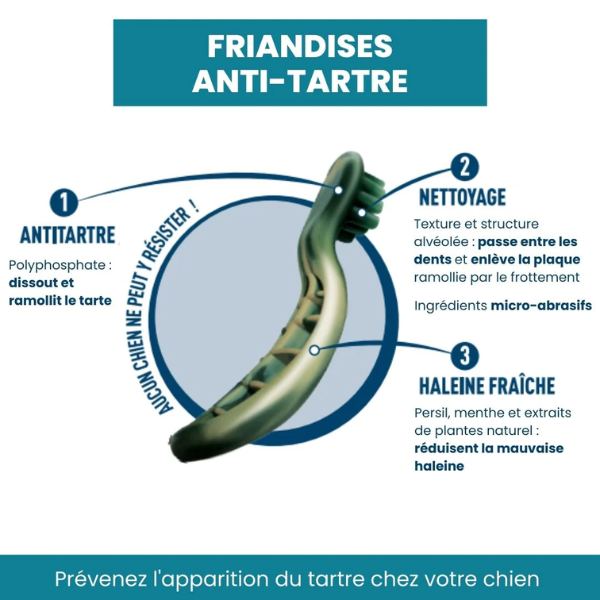 Friandises Anti Tarte Pour Chien 