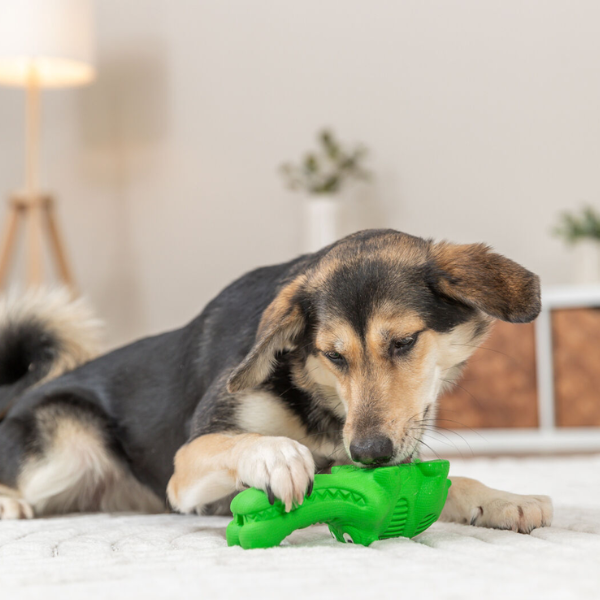 Trixie Snack Crocodile pour Chien