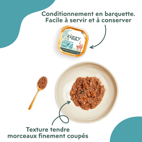 Ziggy Pâtées Chat Stérilisé au Saumon - 4 x 100 g