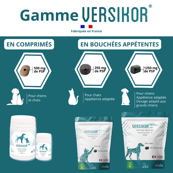 Versikor 500 Chews pour Chien